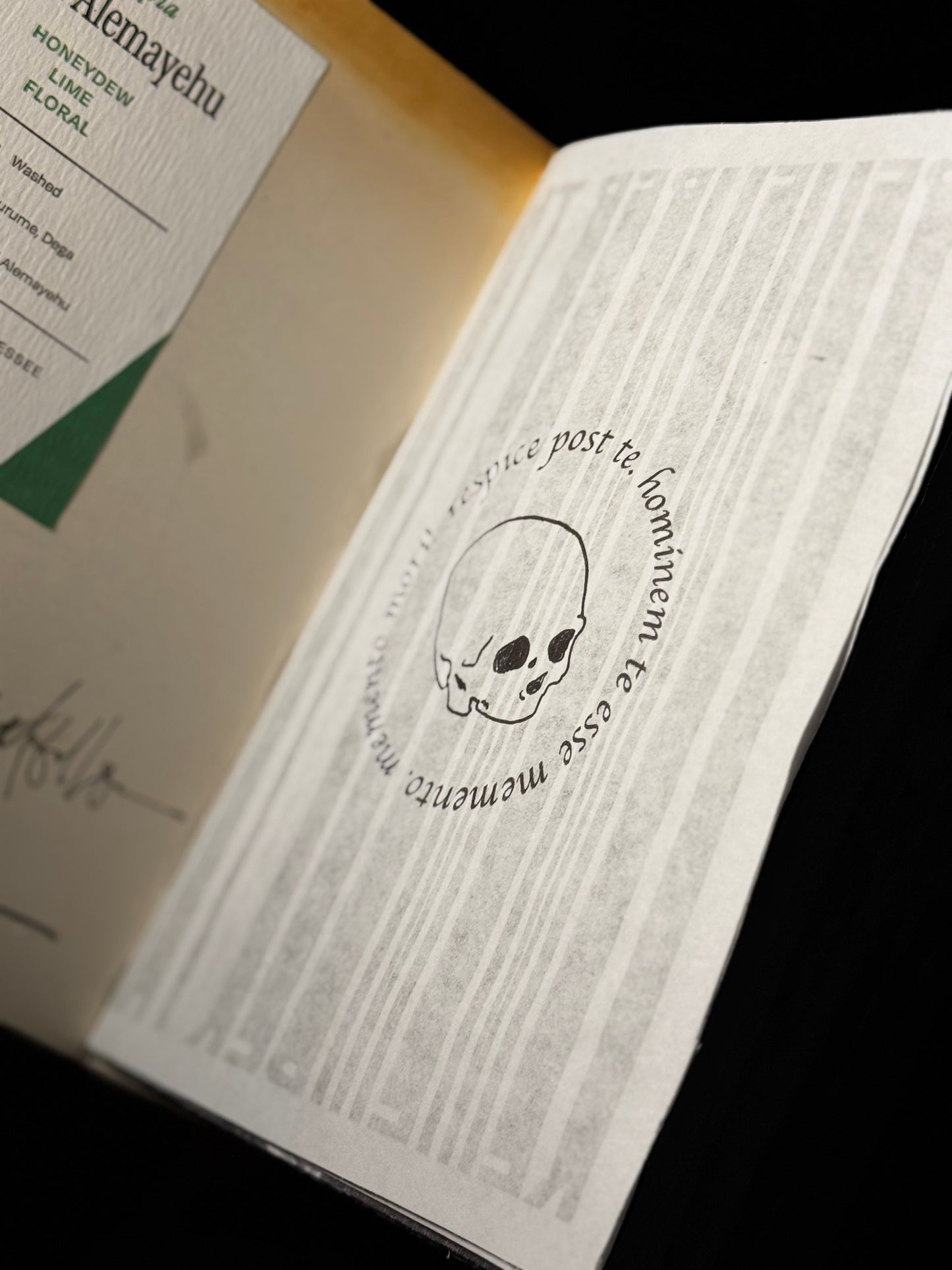 Zine: SISTER DEATH | Memento Mori